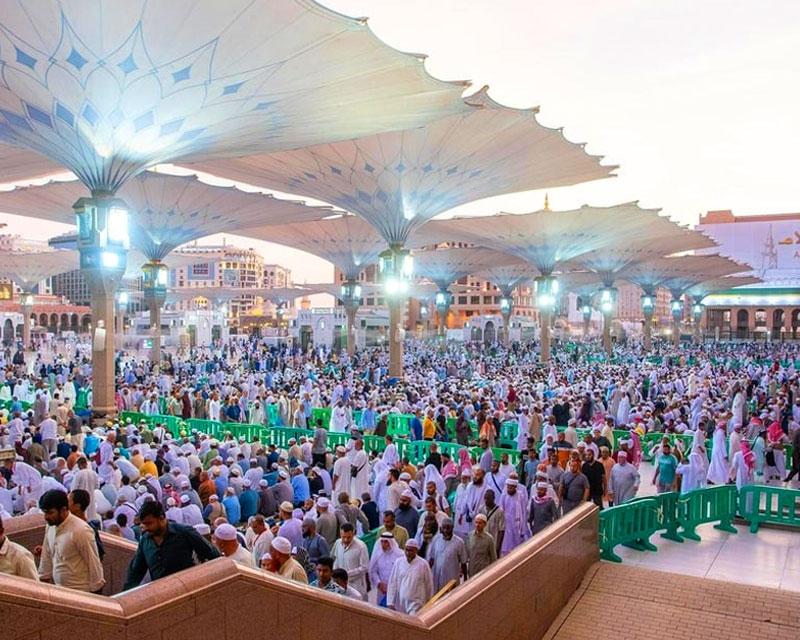 <a style="pointer-events: none;">5-Star Elite Umrah Package – 10 Nights of Seamless Convenience </a><p class="prce"><span class="small">From</span> <span class="prceclr">£1150.00</span></p> <hr>               <p>                <ul class="custom_scroll">                  <li>5 Nights in Makkah (Near Haram)</li>                  <li>5 Nights in Medina (Premium 5-Star Hotel with Top-Tier Services)</li>                  <li>Direct & indirect flight options from UK</li>                  <li>Personalized transport & expert-guided Ziyarat trip</li>                  <li>Half-board meal plan for flexibility & convenience</li>                </ul>              </p>              <span><a href="https://wa.me/+442035041840" target="_blank"> <img src="https://staging.almusafirtravel.co.uk/wp-content/uploads/2025/05/chat.png" class="tel3"/> <a/>                 <a href="https://staging.almusafirtravel.co.uk/5-star-elite-umrah-package-10-nights-of-seamless-convenience/" class="tel2"><button>Enquire Now <i class="fa-solid fa-circle-chevron-right"></i></button></a> </span>