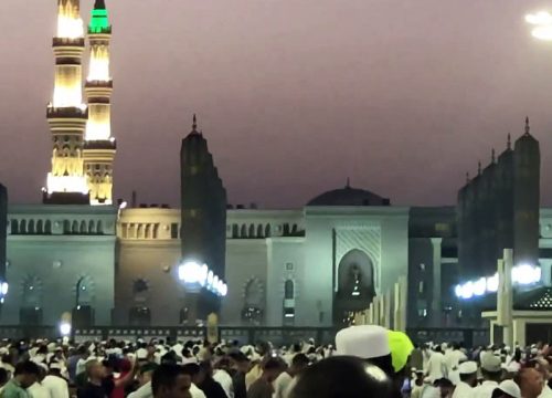 <a style="pointer-events: none;">5-Star December Umrah Package for 7 Nights – All-inclusive</a><p class="prce"><span class="small">From</span> <span class="prceclr">£1310.00</span></p> <hr><p>      <ul class="custom_scroll">                  <li>4 nights in Makkah at Elaf Kinda Hotel</li>                  <li>3 nights in Medina at InterContinental Dar al Hijral</li>                  <li>Flights from London, Manchester, Birmingham, Bradford, and Scotland</li>                  <li>Hotel in Makkah and Medina, Visa, Return Flights, Transport, and Ziyarat included </li>               </ul></p>           <span><a href="https://wa.me/+442035041840" target="_blank"> <img src="https://staging.almusafirtravel.co.uk/wp-content/uploads/2025/05/chat.png" class="tel3"/> <a/>                 <a href="https://staging.almusafirtravel.co.uk/5-star-december-umrah-package-for-7-nights-all-inclusive/" class="tel2"><button>Enquire Now <i class="fa-solid fa-circle-chevron-right"></i></button></a> </span>