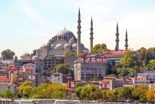 <a style="pointer-events: none;">Umrah Packages with Turkey Holidays </a> <hr> <br><br> <span><a href="https://wa.me/+442035041840" target="_blank"> <img src="https://staging.almusafirtravel.co.uk/wp-content/uploads/2025/05/chat.png" class="tel3"/> <a/>                 <a href="https://staging.almusafirtravel.co.uk/book-it-now/" class="tel2"><button>Enquire Now <i class="fa-solid fa-circle-chevron-right"></i></button></a> </span>